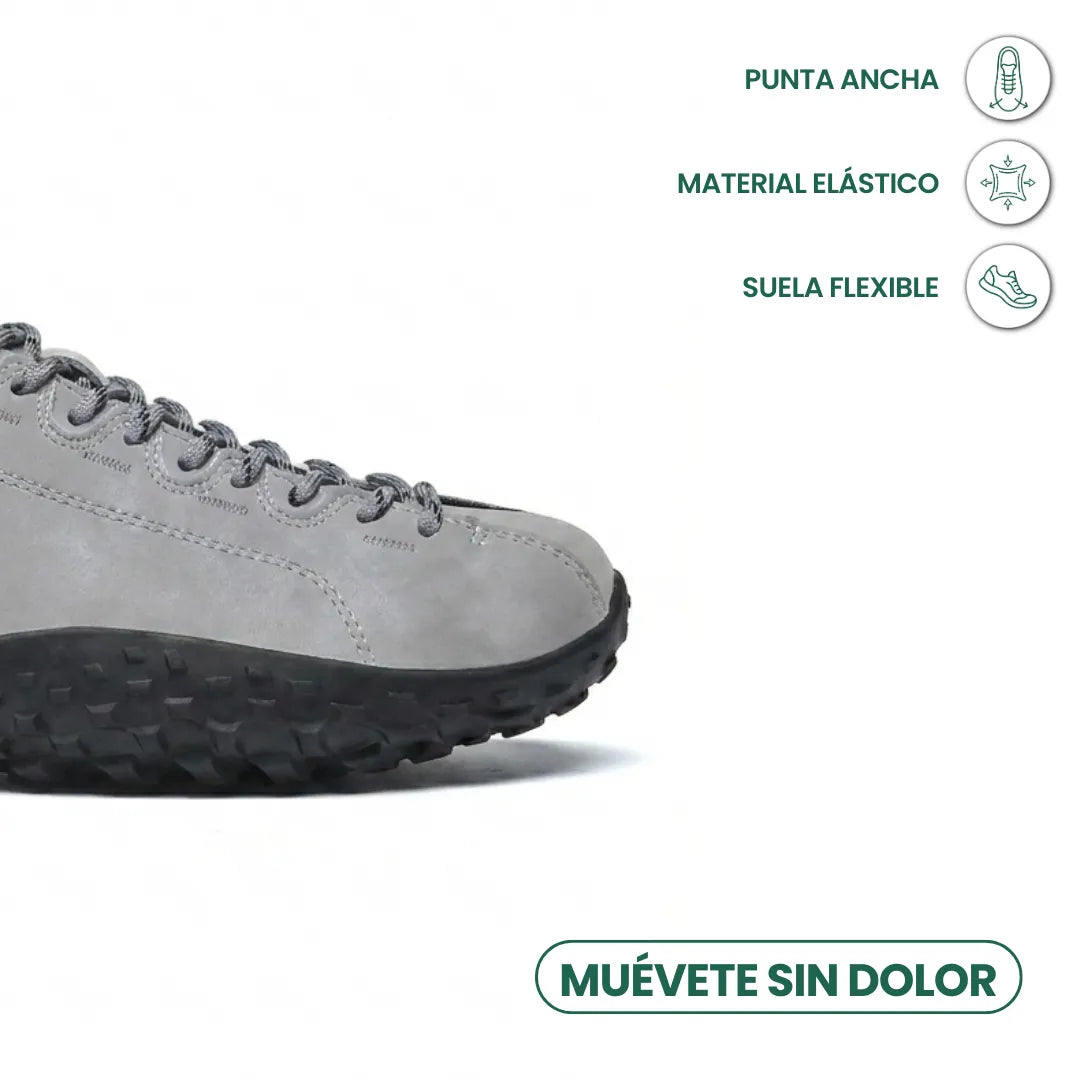 Gris