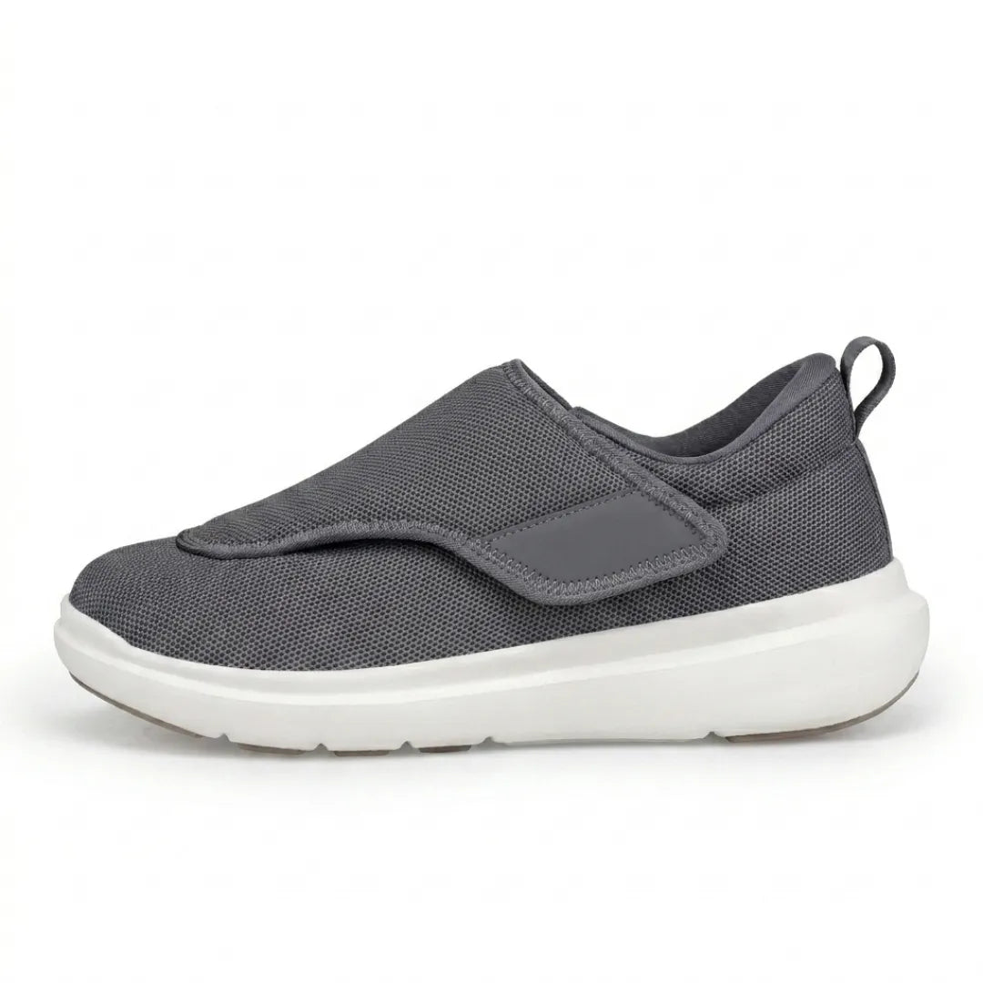 Gris