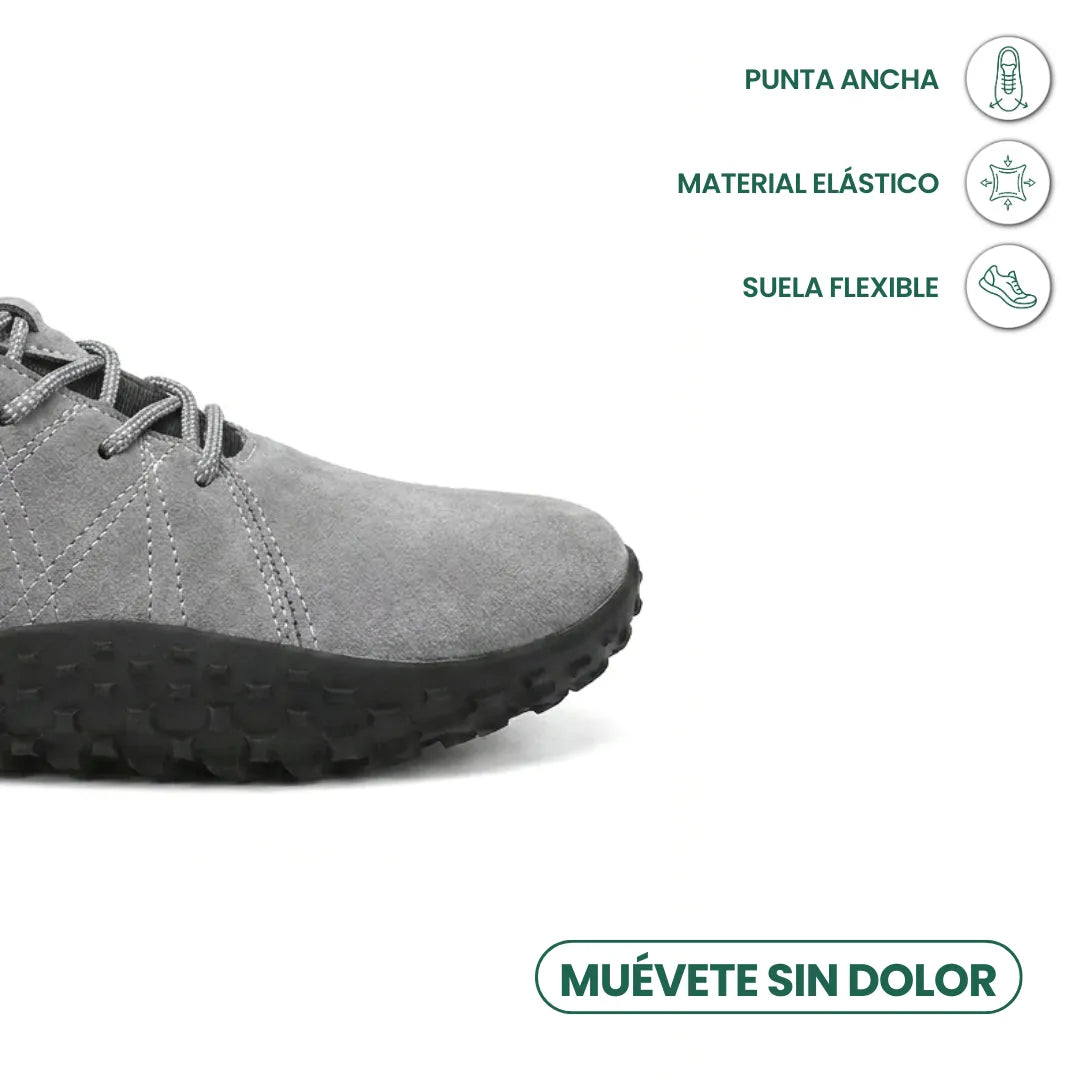 Gris